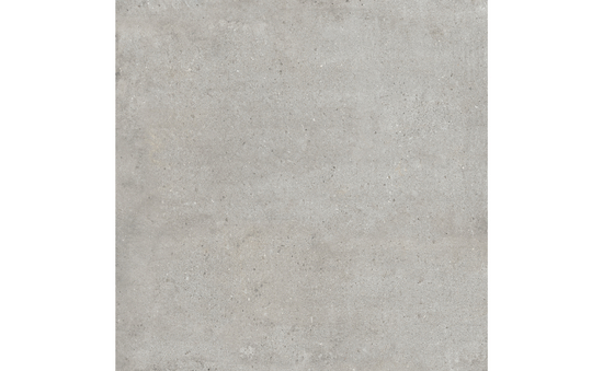 Feinsteinzeug grau 60 x 60 cm