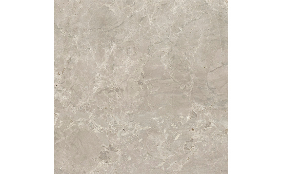 Feinsteinzeug greige 80 x 80 cm