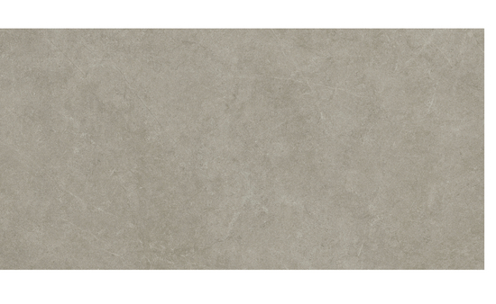 Feinsteinzeug grau 60 x 120 cm