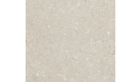 Feinsteinzeug beige 60 x 60 cm